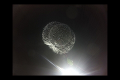 Sequence 0100